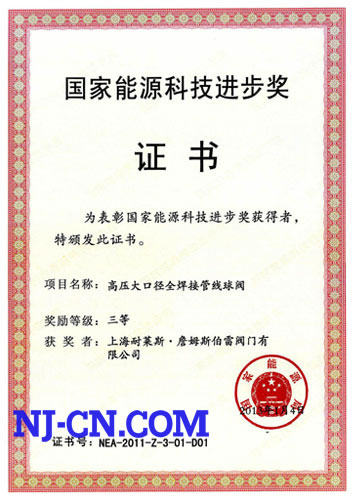 “高压大口径全焊接球阀“荣获国家能源科技进步三等奖